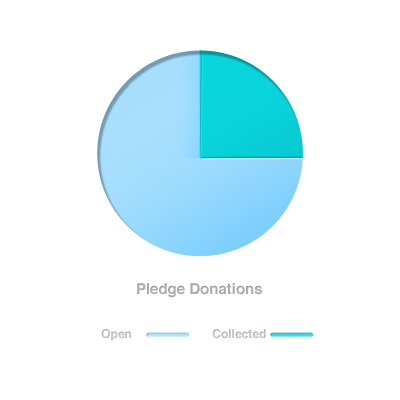 Pledge Donations Pie Chart